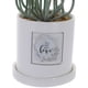 thumbnail image 3 of Planta Decorativa All You Need Love Maceta Blanca, 3 of 5