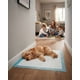 thumbnail image 1 of Almohadilla Talla XL Para Perros De 60cmx90cm 24u, 1 of 6
