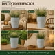thumbnail image 5 of Macetero Metalico Celeste Decorativo Con Asas Jardín M, 5 of 7