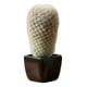 thumbnail image 2 of Planta Artificial Decorativa Cactus Ornamental Botánica Jhn, 2 of 3