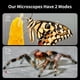 thumbnail image 4 of Microscopio BEAVERLAB Darwin M2B 100-1600X 1080P HD para niños, 4 of 7