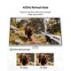 thumbnail image 3 of Monitor Pixio PX258 61 cm 400 Hz Full HD 1 ms GTG IPS, 3 of 7