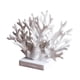 thumbnail image 1 of Centro De Mesa Costero Con Decoración De Coral Decoración Para El Hogar Estante Escritorio Dormitorio Blanco, 1 of 5