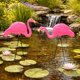 thumbnail image 3 of Figurita GiftExpress 61 cm Flamenco Rosa – Juego de 4, 3 of 8
