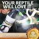 thumbnail image 4 of Reptile Mister EXTREMEMIST de alto rendimiento, 950 ml, para reptiles, 4 of 6