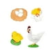 thumbnail image 5 of Figuras Del Ciclo De Crecimiento Animal, Accesorios De Enseñanza Para Niños Y Niñas, Gallina De Aprendizaje Preescolar, 5x5cm, 5 of 5