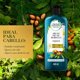 thumbnail image 3 of Acondicionador Herbal Essences Bio Renew Repair Argan Oil Of Morocco, 400 ml, 3 of 6