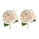 thumbnail image 2 of Ramo De Flores Con Tallos, Flor De Hortensia Para Compromiso, Boda, Fiesta, Champán, 2 Uds., 2 of 3