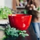 thumbnail image 2 of Ensaladera L Rojo, 2 of 4