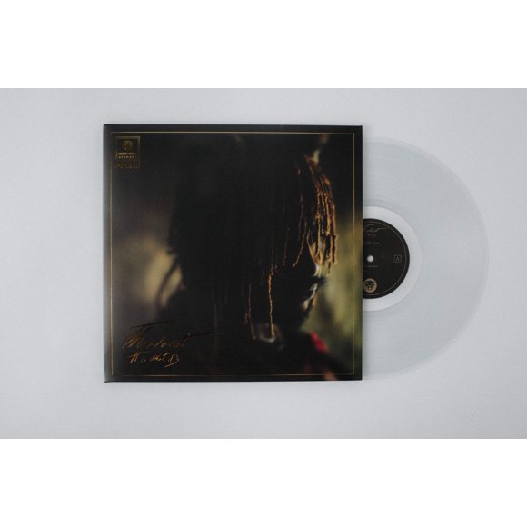 Vinilo Brainfeeder – It Is What It Is