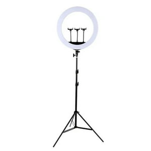 Genérico - Iluminador Aro Anillo Luz Led Profesional Estructura Rondon