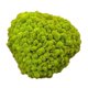 thumbnail image 4 of 25g Simulación Bolas De Musgo Piedra Bricolaje Jardín Planta Florero Decoración Verde, 4 of 5