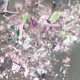 thumbnail image 4 of suxuMhao Polvo de Brillo para Uñas, 0.38g 1 Pieza, Múltiples Colores, Polvo Ópalo para Uñas, Hojuelas Iridiscentes para Uñas, Polvo Holográfico para Uñas, Manualidades DIY para Uñas, Adecuado para, 4 of 4
