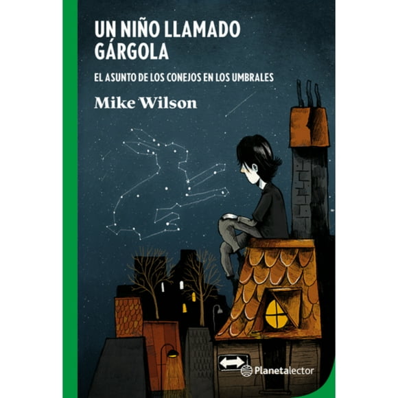 Libro Un Niño Llamado Gárgola