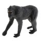 thumbnail image 4 of Figura De Acción De Modelo De Animal Estático Para Ni?os Y Adultos Macaca Nigra, 4 of 5
