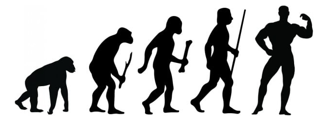 Rienda Libre Graphics - Decomural Bodybuilding Evolution Sports Fitness Ws-42919