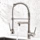 thumbnail image 1 of Grifo para fregadero de cocina AIMADI Contemporary con rociador desplegable, 1 of 6