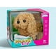 thumbnail image 1 of Perrito Cafe Camina Y Mueve La Cola. Tiene Sonido, Trae Un Hueso De Accesorio, 1 of 3