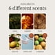 thumbnail image 5 of Ambientador Drift Car Stone Cabana con aroma a paquete de 3, 5 of 7