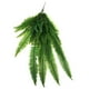 thumbnail image 4 of Arte De La Pared De La Planta Del Helecho Artificial Que Cuelga La Hoja Plástica Del Helecho De La Rota Persa, 4 of 5