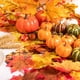thumbnail image 4 of Set de hojas artificiales de arce y calabaza Whaline, 160 unidades, 4 of 6