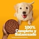 thumbnail image 2 of Alimento Húmedo Cachorro Sabor Carne Pouch, 85 g, 2 of 9
