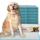 thumbnail image 1 of Tapetes higiénicos PETSWORLD 94 × 137 cm 25 unidades – Indicador de salud, 1 of 7