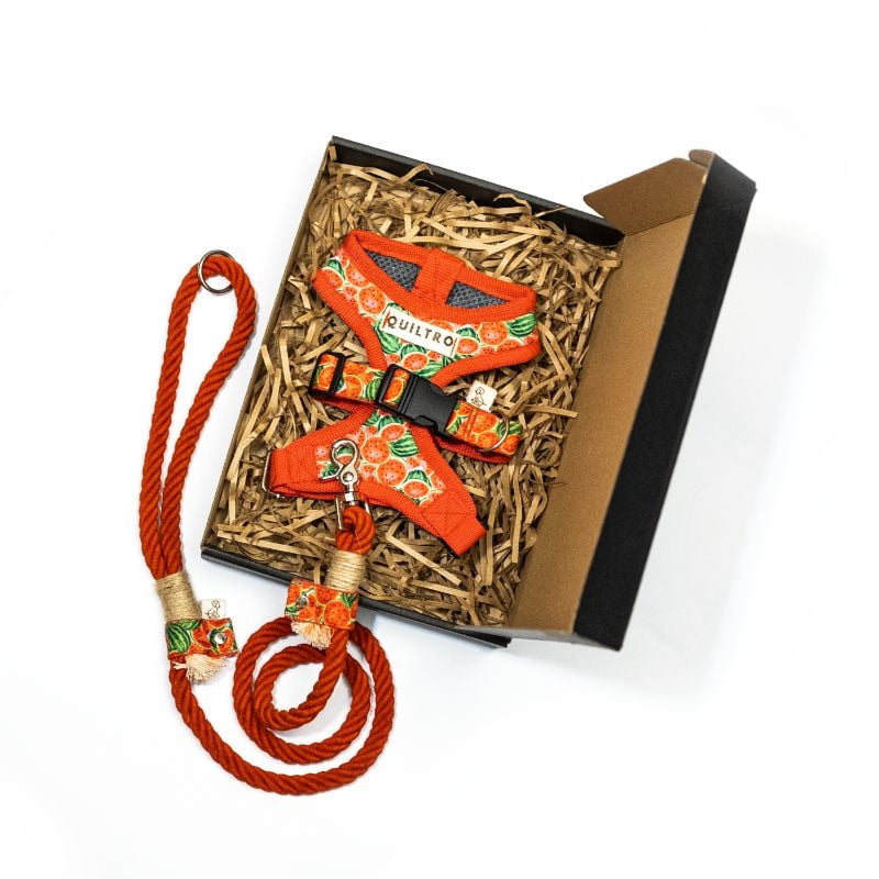 Quiltro - Set Accesorio Para Paseo Perro Sandia Talla L