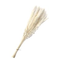 Magideal - Ramo De Hierba Seca Real, Fragmitas, Caña De Flores, Artesanías Florales, Tallos Bohemios, Para Decoración, Jarrón De Regalo, Cumpleaños, Blanco 15 Piezas