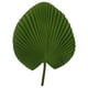 thumbnail image 4 of Abanico De Palma Artificial Hawaiano De Hoja De Palma De 65 Cm De Alto Para Decoración De Fiestas, 4 of 5