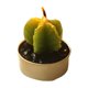 thumbnail image 2 of Pack 12 velas cactus decorativas, 2 of 3