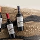 thumbnail image 2 of Vino Tinto Ensamblaje Gran Reserva Aconcagua Cuvée 13.5° Botella, 750 ml, 2 of 5