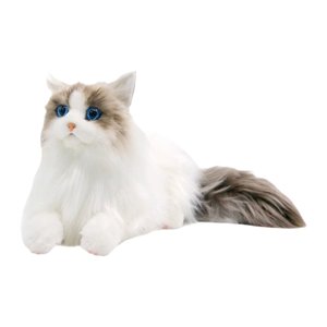 Bothyi - Muñeco De Gato Realista De Peluche De Gato Ragdoll Para Amantes De Los Gatos Niños Niñas Gato