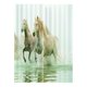 thumbnail image 5 of Cortinas de cortinas opacas para ventanas de impresión 3D para caballos de 140x100 cm, 5 of 5