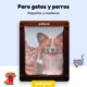 thumbnail image 2 of Puerta Abatible Para Perro Gato Mascota Petpal TamaÃ±o Grande, 2 of 7