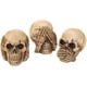 thumbnail image 2 of Set de figuras de resina Zingz & Thingz Skeleton & Skulls, 3 piezas, 2 of 8