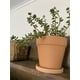 thumbnail image 3 of DECOGREEN MACETERO TERRACOTA CLASICA  S 16X18 CM, 3 of 3