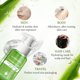 thumbnail image 3 of Gel de Aloe Vera Aloderma 100 g – Alivio Orgánico y Calmante, 3 of 9