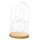 thumbnail image 1 of Funciona con pilas luces de cristal lámpara de mesa cloche luces de hadas artesanías, 1 of 5