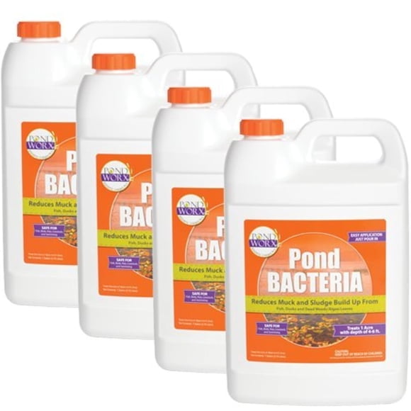 Bacterias para estanque Pond Worx 15 L para fuentes de agua, seguro para koi