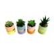 thumbnail image 2 of Planta Artificial Suculenta 13 cm Producto Surtido, 2 of 4