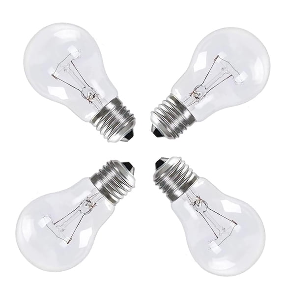 Bombilla incandescente Hrsovii A19, transparente, 100 W, 2700 K (paquete de 4)