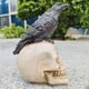 thumbnail image 4 of 1pc Crow Skull Ornament, Halloween Gift, Animal Skull Living Room Yard Decoration, Bar Crafts Resin Skull Skull, Antique Distressed,Halloween Room Decor Goth,ghost Face, 4 of 4