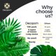 thumbnail image 3 of Hojas de palma artificiales Decopom, paquete de 108 unidades, Tropical Monstera, 3 of 9
