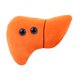 thumbnail image 1 of Peluche de Hígado Anatómico GIANTmicrobes 15 cm, 1 of 8