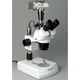 thumbnail image 5 of Microscopio estéreo AmScope SW-2T24Z Trinocular 20/40/80X, 5 of 6