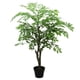 thumbnail image 2 of Arbol de la langosta de 120 cm, 2 of 2