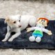 thumbnail image 5 of Juguete masticable para perros Crowded Coop George Jetson Squeaky 30 cm, 5 of 6