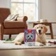 thumbnail image 2 of Pack X2 Snack Para Perros Wanpy Tiritas De Pato Duck 100g C/u, 2 of 6