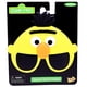 thumbnail image 5 of Gafas de sol para disfraces Sun-Staches Bert Sesame Street, 20 cm, UV400, 5 of 5